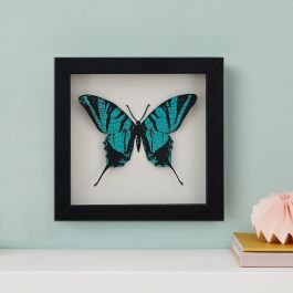 Papercut 3D butterfly box frame | Handmade Birthday Gift