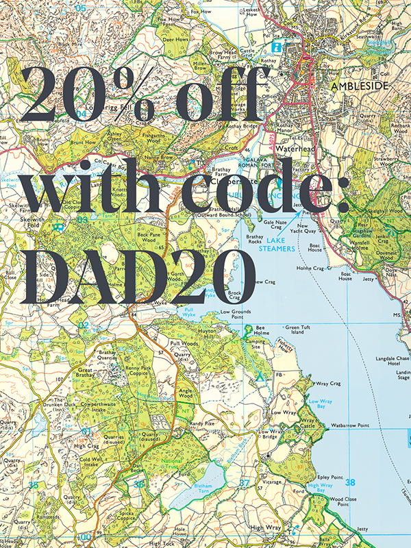 Dad sale